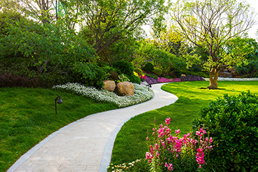 園林微型空氣站監測：呵護綠色空間，提升城市生活質量
